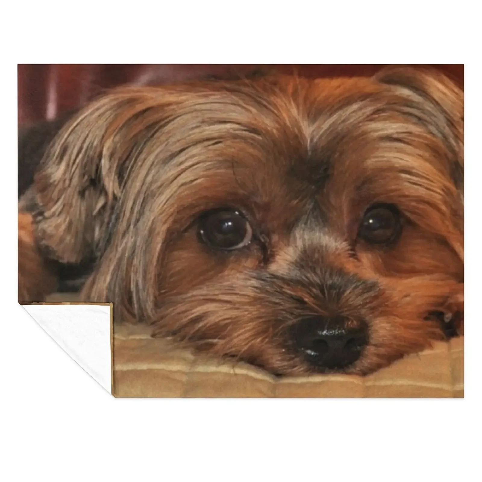 

Cute Yorkshire Terrier Yorkie Puppy Dog Throw Blanket Sofa Quilt Softest Retros Thin Blankets