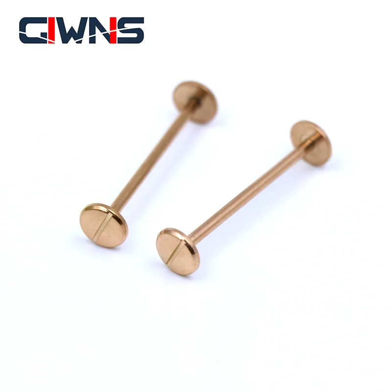 

Watch Accessories Strap Link Rod For Michael Kors Men's Parts Tools