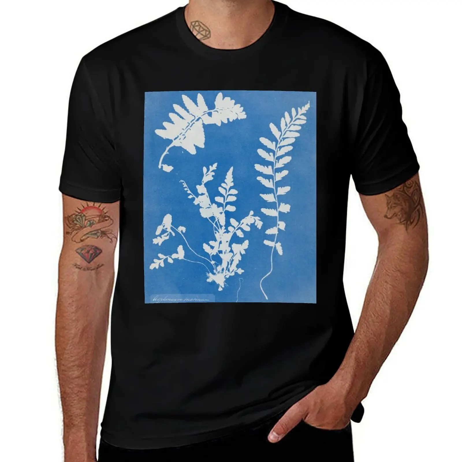 

Anna Atkins Cyanotype Fern, 1854 T-Shirt Simple Line Art Print Tee