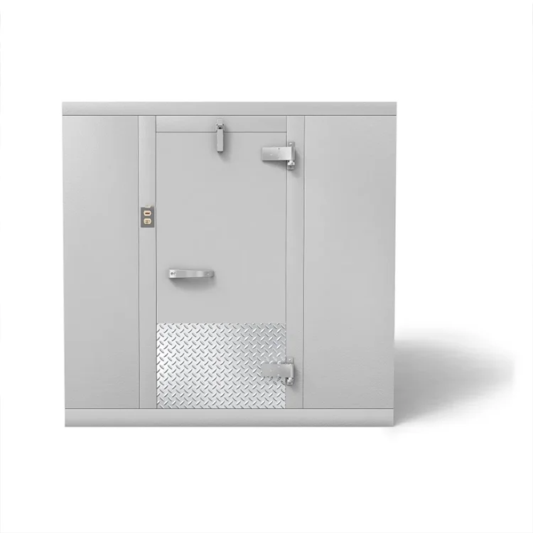 Hot Sale Blast Freezer Low Temperature Commercial Freezer Retail and Store Walking Freezer