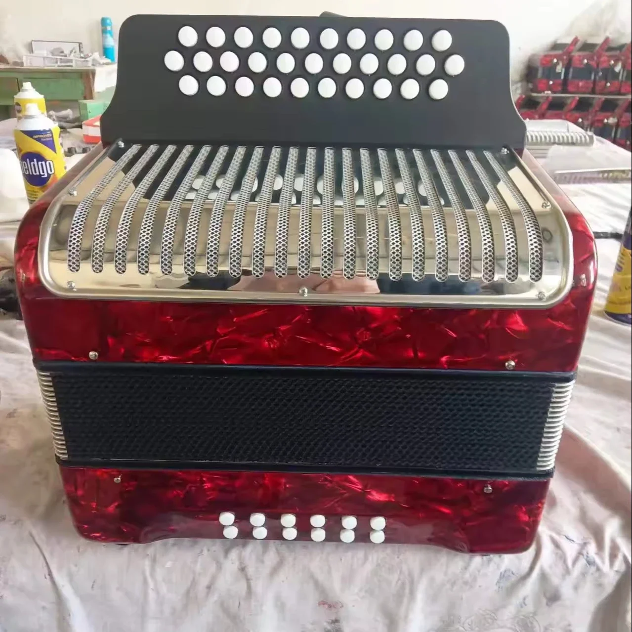 

31 Key 12 Bass, 31 Buttons 12 Bass Button Accordion, Bayan Accordions with ABS case
