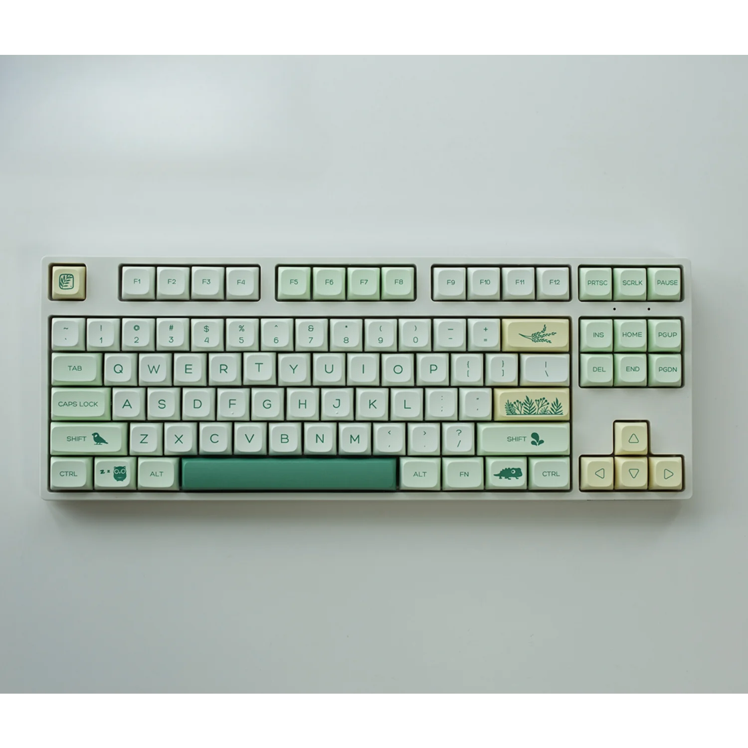 

Keycaps for 60/64/84/98/108 Gaming Mechanical Keyboard MX Switch 144 Keys XDA PBT Botanical Garden Theme