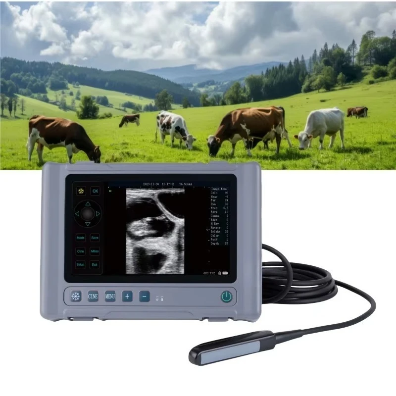 High Quality ORIGINAL Wireless Portable Ultrasound Animal Ultrasound Veterinary Handheld Ultrasound Field