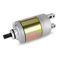 Starter Motor Replace Compatible with Buyang Feishen FA D300 H300 G300 300CC For Yamaha Majesty YP250 Scooter ATV Moped