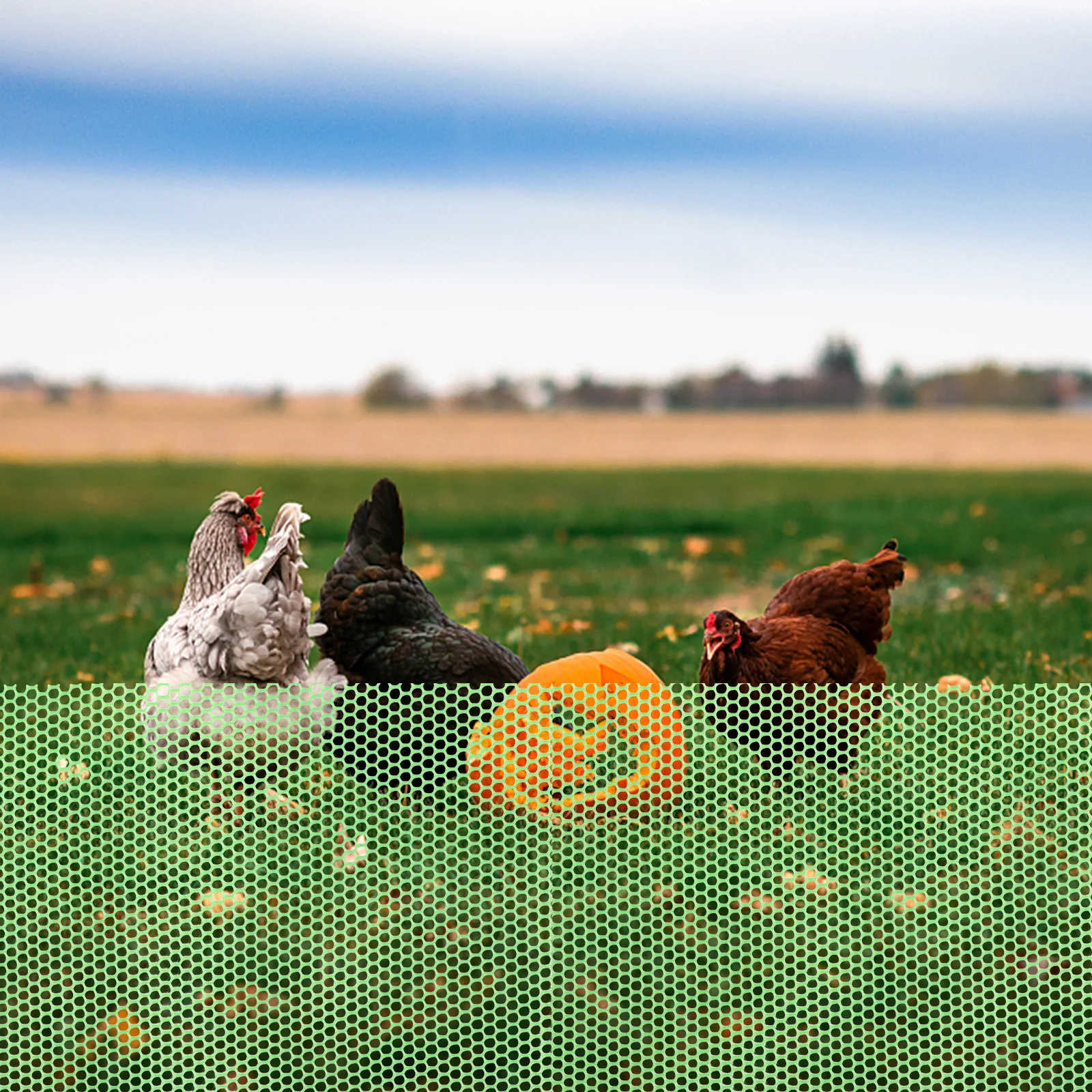 مجموعة واحدة من سياج الحديقة، شبكة بلاستيكية متينة ومرنة وخفيفة الوزن وسهلة التركيب، شبكة حماية من الفاكهة والخضروات على شكل حيوان