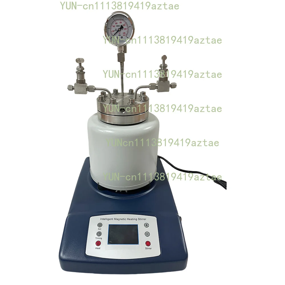 High Pressure Temperature Autoclave Reactor 25-500ml Magnetic Stirrer Customizable Top Quality