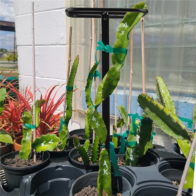 

Y17A для вьющихся растений, прочная металлическая решетка для вертикальных садовых и вьющихся растений