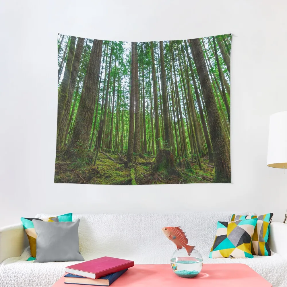 

Endor Tapestry Room Decor Aesthetic Home And Comfort Decor Tapestry