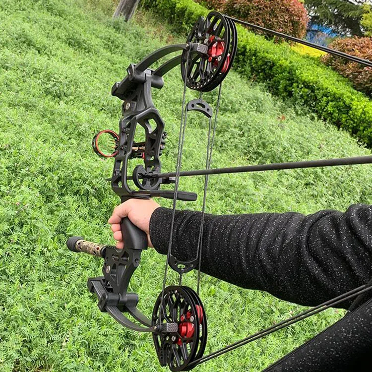 

Compound Bow Arrow Dual Use Archery Bow and Arrow Hunting Left Handed Archery Composite Bow