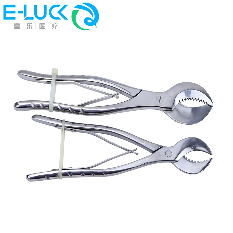 

1Pcs Dental Plaster Cutting Scissors Surgical Gypsum Shears Pliers Stainless Steel Dentist Lab Tools Instrument