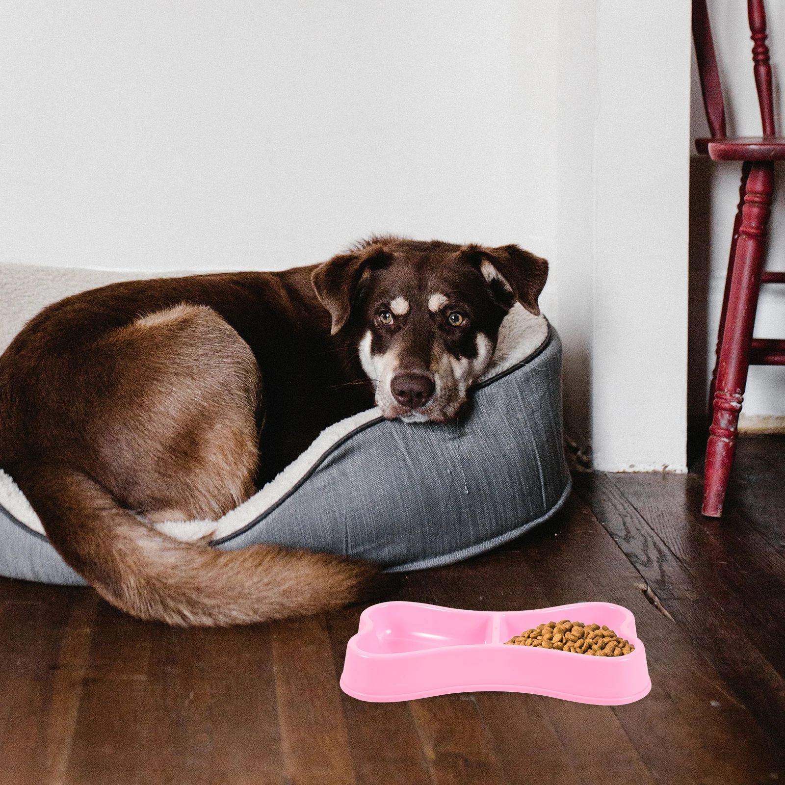 

Bone Shape Food Dual Feeding Station Leakproof Water Container Durable Lightweight Plastic for Dogs Cats Easy Clean Travel