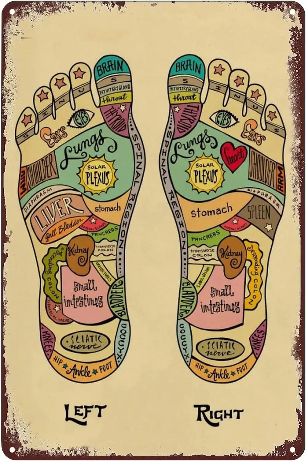 Vintage Metal Signs Foot Reflexology Chart Poster Massage Therapist Tin Sign Wall Art Decor Plaque for Home Office Club Studio S