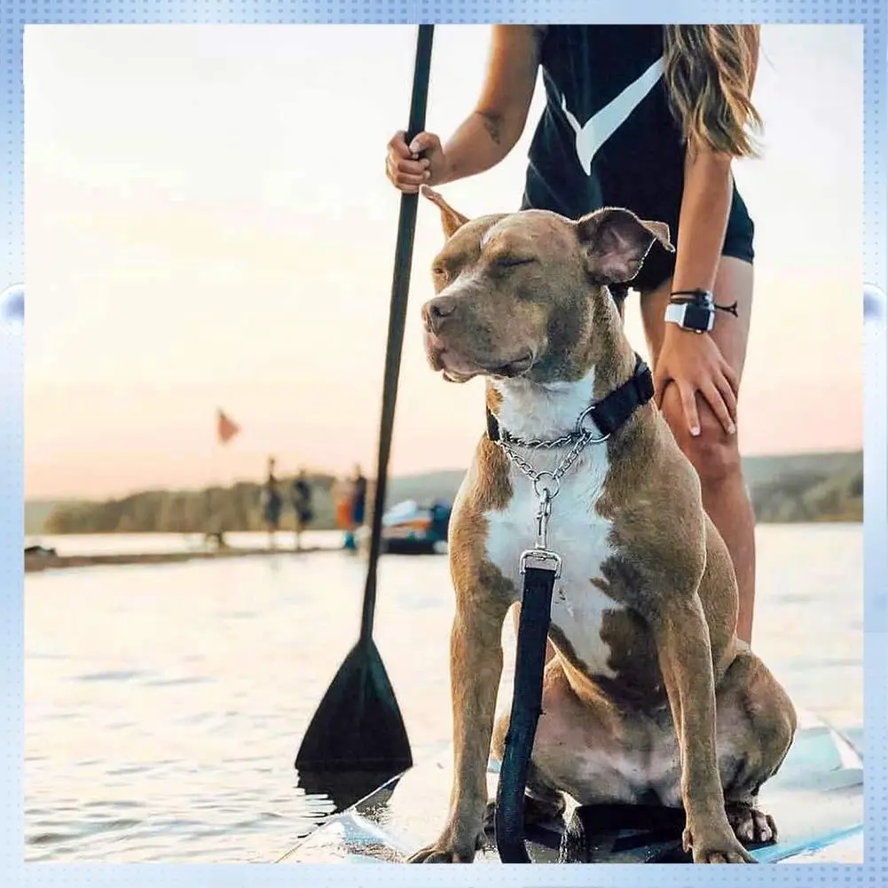 

ABHQ-Adjustable Stand Up Paddle Board Paddle With Unique Lock Design Floating Alloy Shaft Paddleboard Paddle