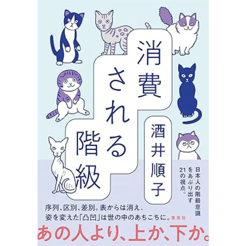 

Consumption Class Junko Sakai Shueisha 9784087881165 Book