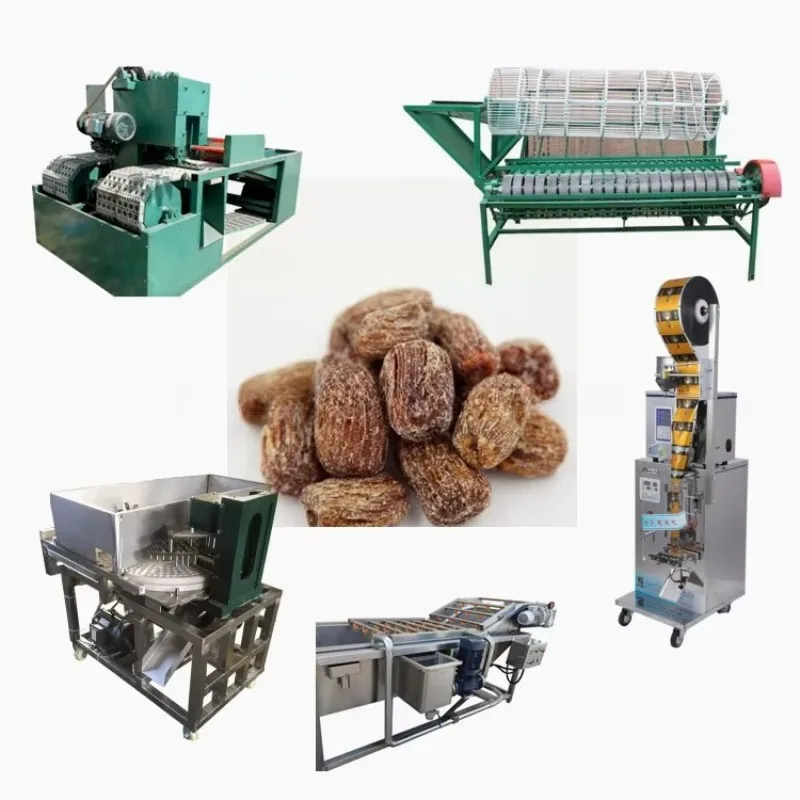 Automatic Dates Washing Sorter Processing Machines Date Palm Production Line Customized