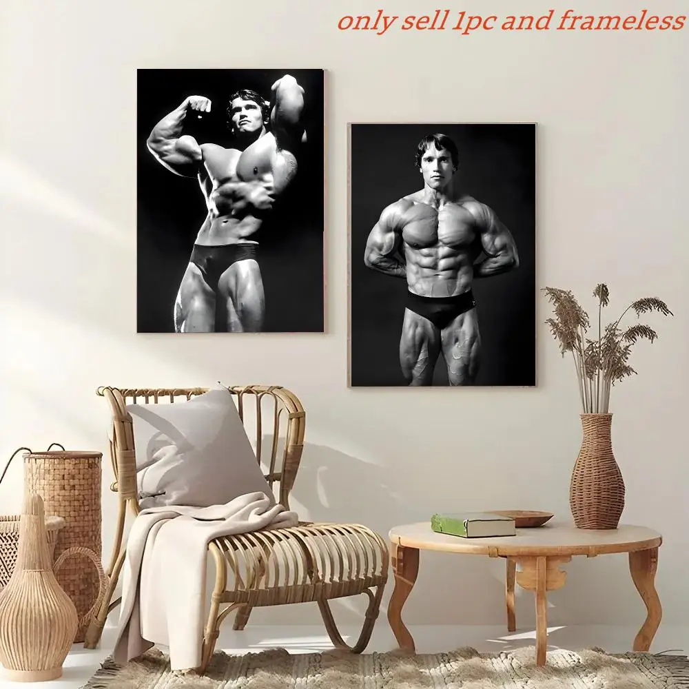 Fitness Fanatic A-Arnold Schwarzenegger Poster Painting And Print Wall Art Picture For Home Room Decor Gifts