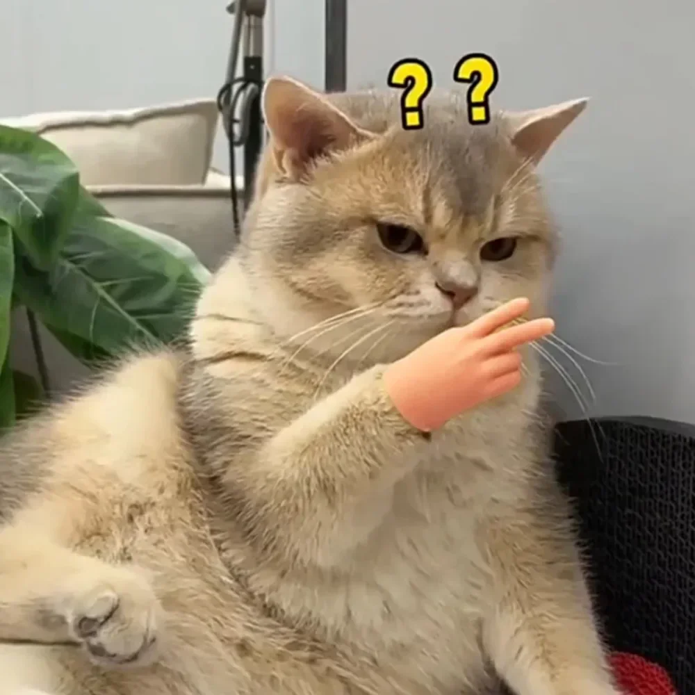 

New Cat Finger Teasing Creative Pet Toy Tpr Stretchable High Elasticity Cat Gloves Hand Finger Teasing Cat Toy Fake Scissors