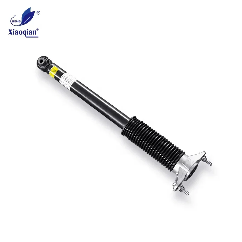 OEM 1044461-02-E  1044461 amortisseur arrire Rear RWD LH&RH suspension shock absorber  For Tesla Model 3 Y