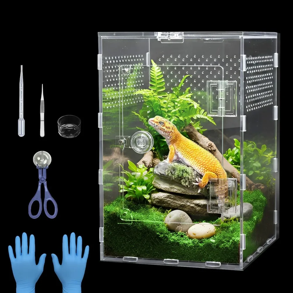

Large Acrylic Insect Terrarium 43x47x78 Inches Jumping Spider Praying Mantis Caterpillar Reptile Habitat