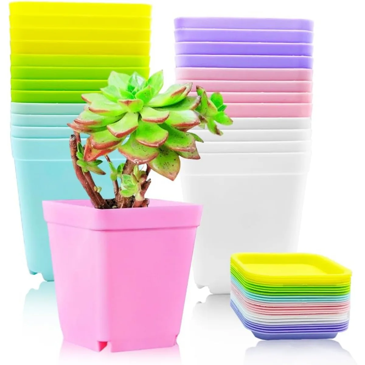 

24PCS Square Succulent Plant Pots - Plastic Nursery Pots with Saucers for Balcony & Office Decor