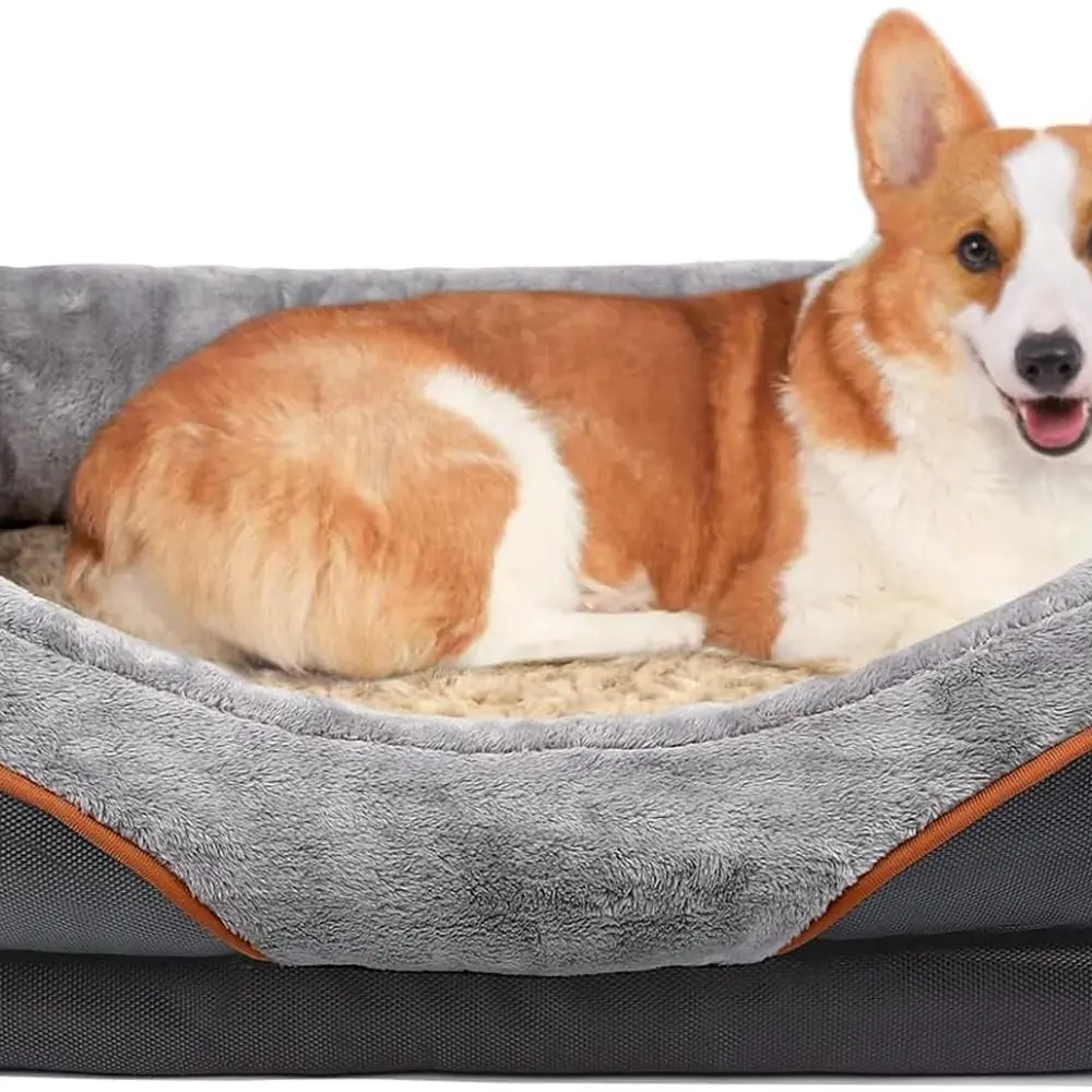 

Medium Memory Foam Dog Bed Orthopedic Dog Bed & Sofa with Removable Washable Cover and Squeaker Toy as Gift