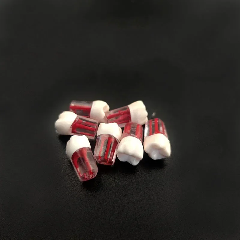 

100pcs/Set Dental Test Teeth with Pulp Cavity Root Canal Resin Dentistry Granules Tool 16/26/36/46/17/37/11/24/45/13/21
