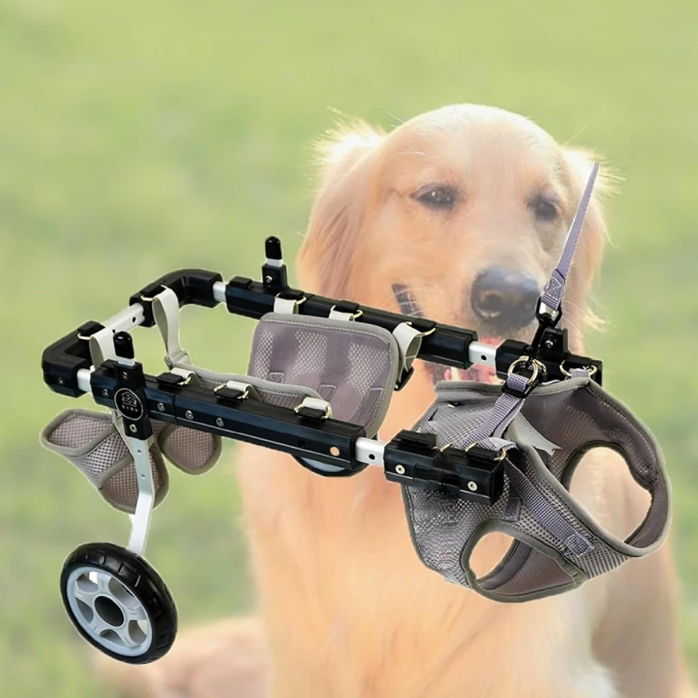 

Adjustable Dog Hind Leg Wheelchair Dog And Cat Hind Leg Wheelchair Disabled Pet Walker With Hind Leg Support And Hip Support Sui