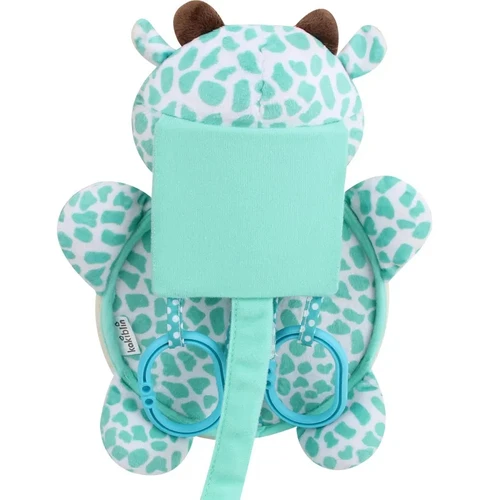 Car Seats & Accessories