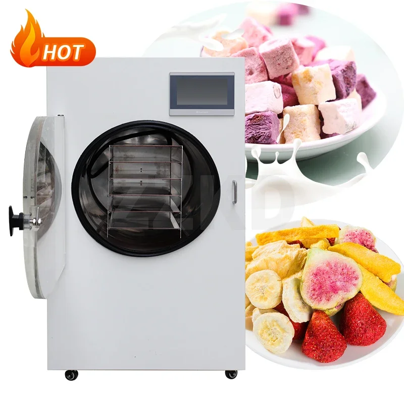 Newest Tabletop Freeze Dryer Made in China