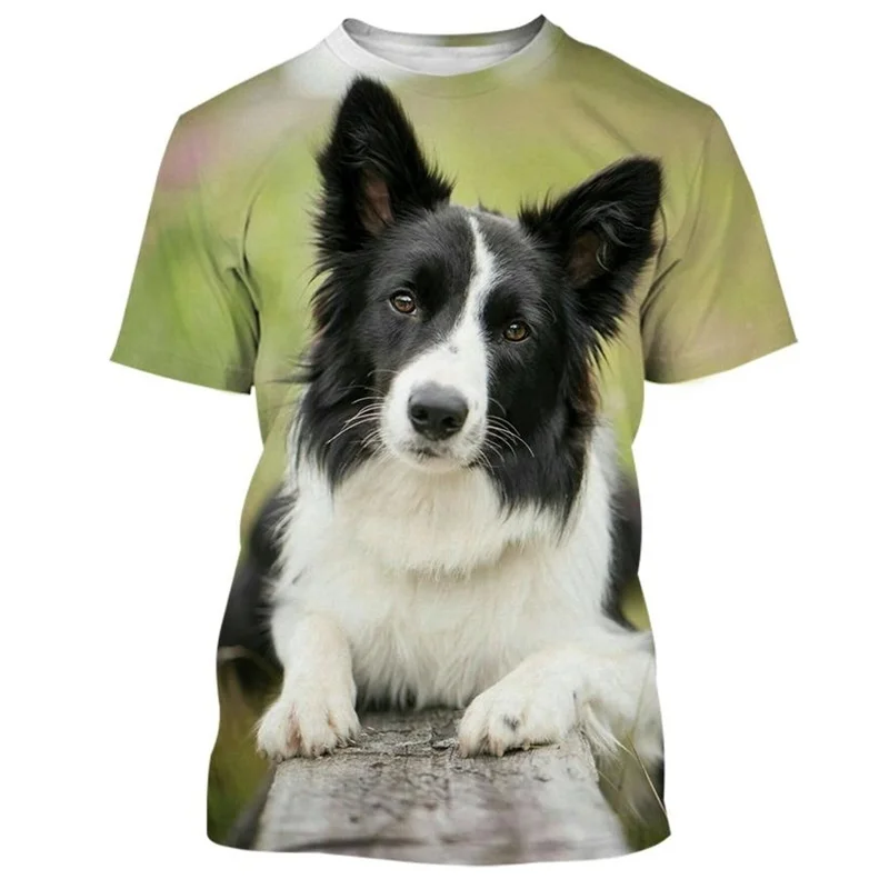 Border Collie 3D Printed T-shirt For Men Fashion Cute Animal Dog Unisex Round Neck Casual Short Sleeve Tee Shirt Clothing