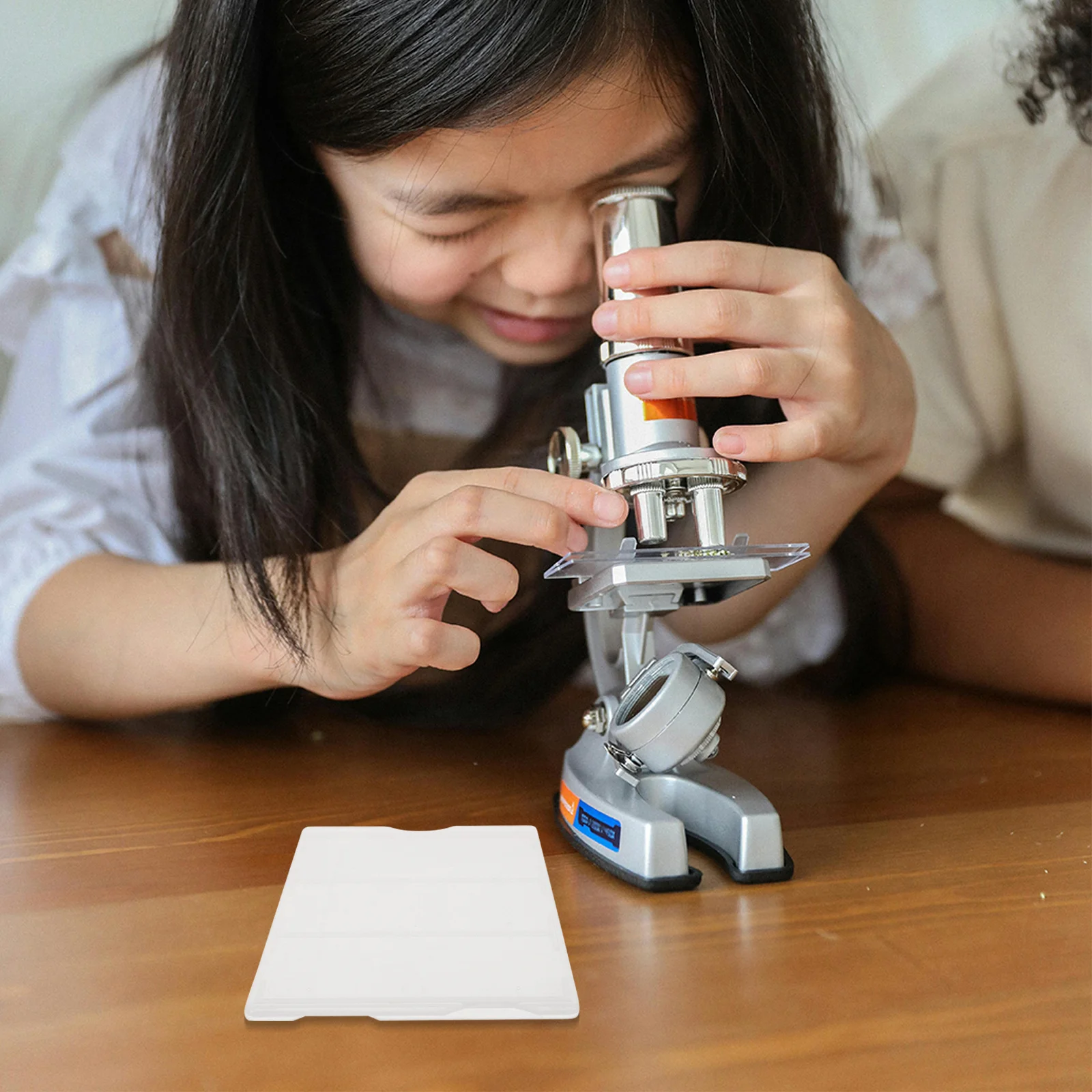 

4 Pcs Plastic Divided Boxes Microscope Slide Storage Holder Organizer Container Accessories