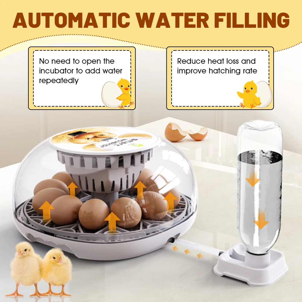 Household Small Chicken, Duck, Goose Egg Incubator Automatically Add Water Intelligent Temperature Control 12 Incubators