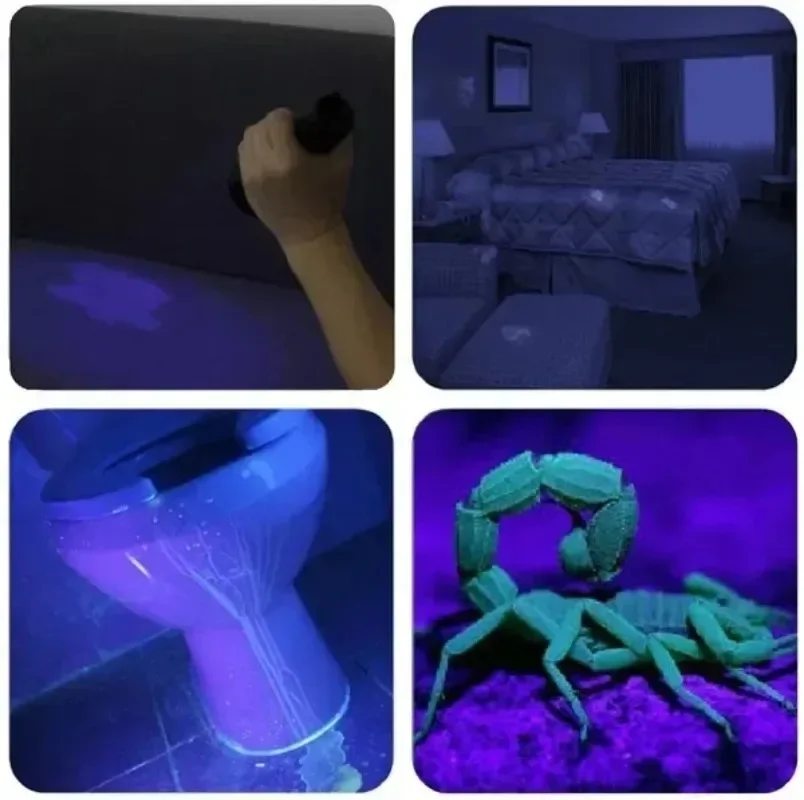 Lanterna UV para Pet Detector de Mancha de Urina, Lanterna impermeável, Luz Ultra Violeta, Luz Negra Portátil, Lâmpada Zoomable, Ferramenta Escorpião