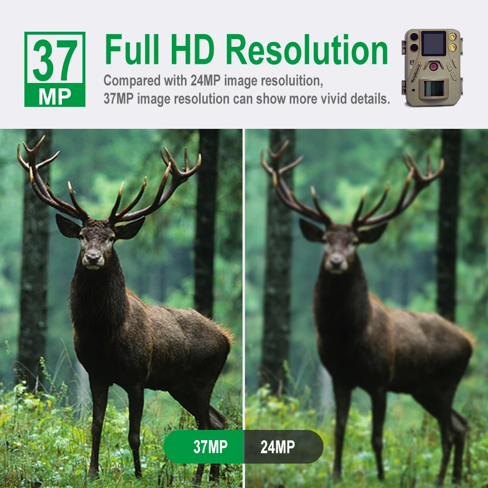 Imagem -06 - Boly-mini Dimensionado Hunting Game Câmeras Wildlife Scouting Câmera Dual Flash 4k 30fps Sg520-t Vermelho ir Led Branco Portátil 37mp Pcs