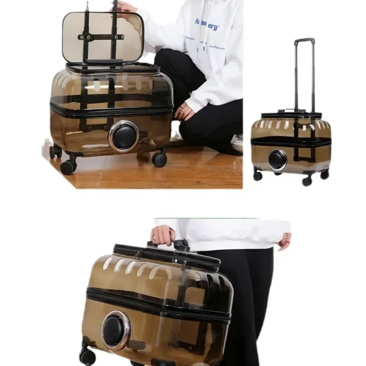 Trolley per animali domestici borsa per gatti che esce Trolley portatile capsula spaziale per cani valigia per gatti trasparente zaino per gatti di