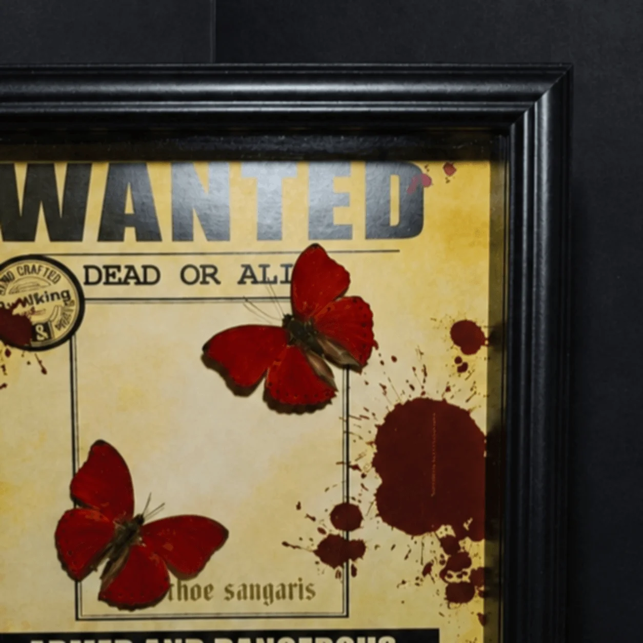 Dark Western Gothic Framed Double Cymothoe Sangaris Butterfly, Original Vintage Wanted Poster Background Artwork, Collector Gift