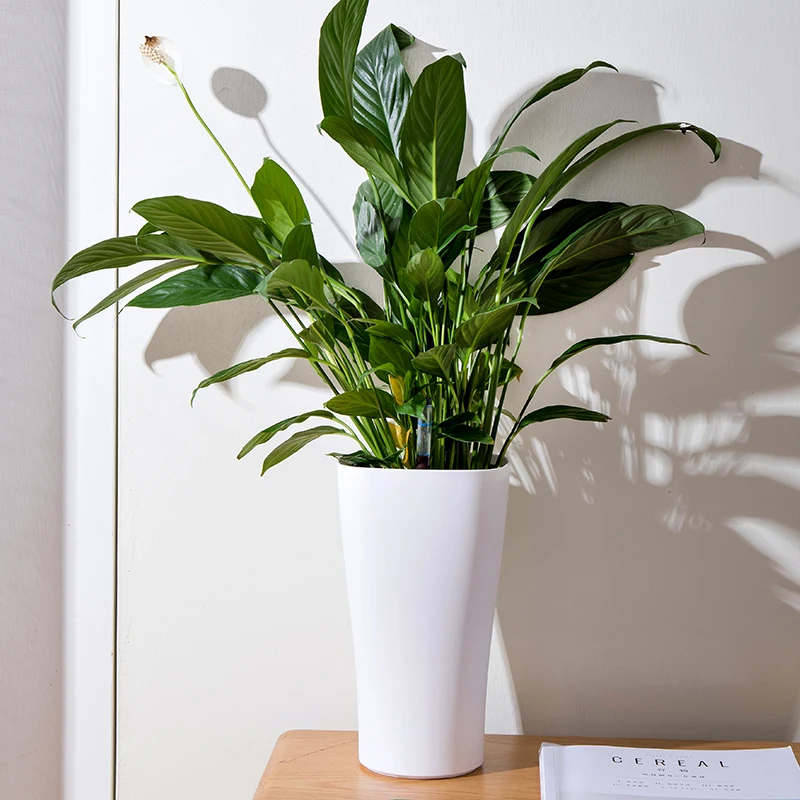 

Самополивающийся цветочный горшок 2026 года с индивидуальным принтом, коврик для посадки растений, настольные и уличные кашпо для цветов