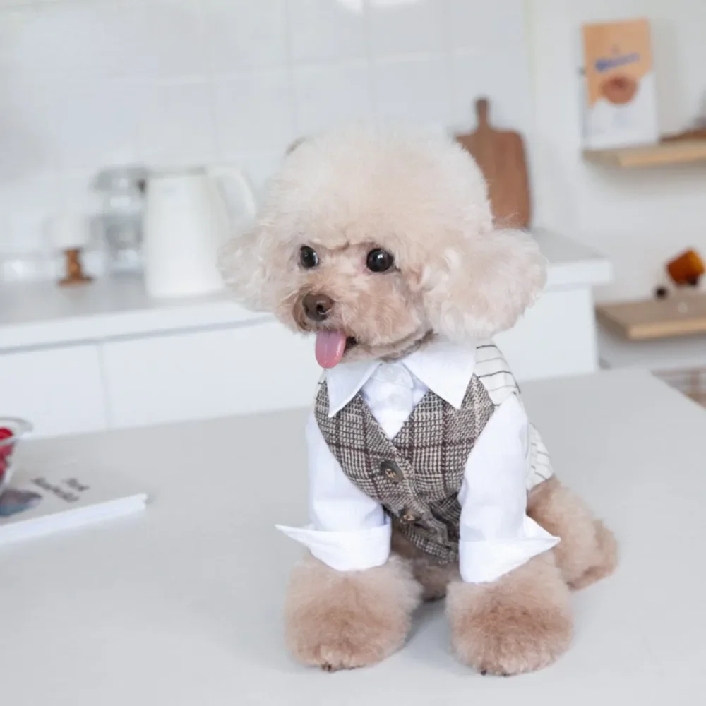 Autumn Winter Pet Suit Vest Coat Dog White Shirt Pet Wedding Clothes Cat Dog Clothing Pet Clothing Teddy Clothing Puppy Clothes