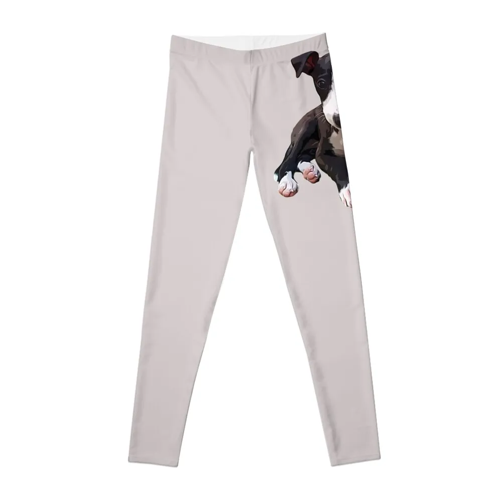 

Italian Greyhound Puppy Dog Leggings sports shirts gym gym's sportswear gym clothing Womens Leggings