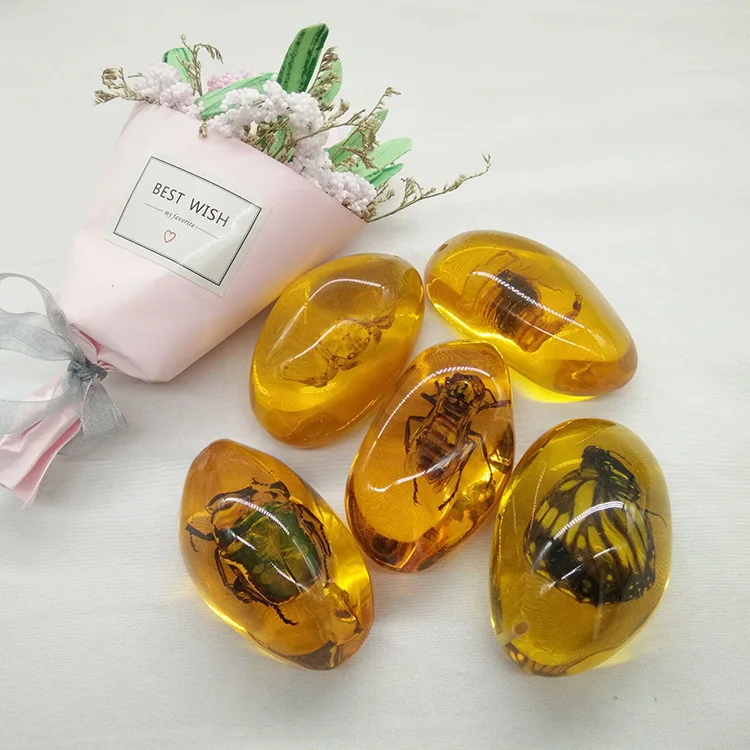 Natural Insect Amber Specimens Crafts Children Science Education Cognitive Toys Amber Bugs Scorpions Ladybirds Insect Specimens