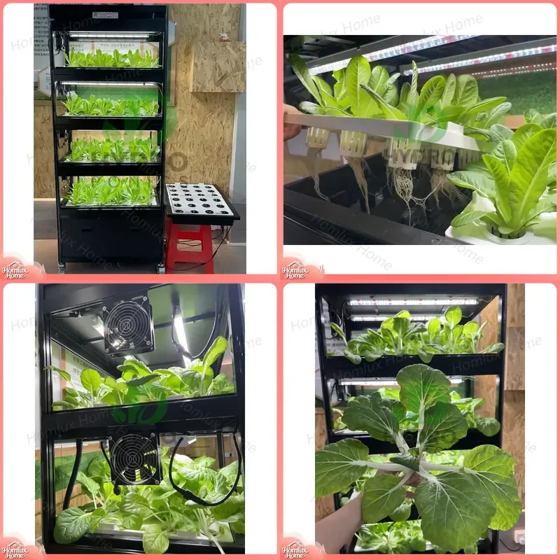 Automatic Home Garden Aquaponics System Hydroponic Irrigation Kit Vertical Farming Cabinet for Growing Vegetables Indoor