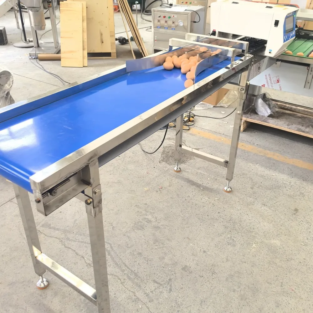 Stainless Steel Egg Grading Machine Conveyor Belt Wear Resistant Transmission Belt for Egg Processing Line