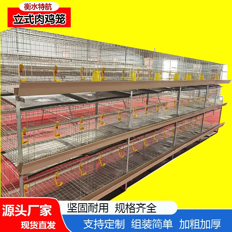 

Three-Layer Three-Dimensional Broiler Cage Chicken Cage Chicken Nest Layered Chicken Cage Galvanized Wire Thickened Breeding