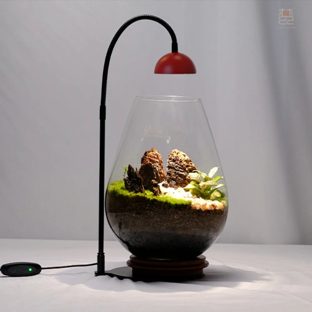 

LED Plant Grow Lamp,Micro Landscape, Plant Growth Lamp, Moss Grow Light, Desktop Glass Plant Terrarium,Betta Fish Tank Light