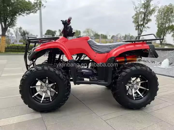 200cc Automatic 4 Stroke 1-Cylinder ATV 4-Wheeler with Chain Drive Transmission System