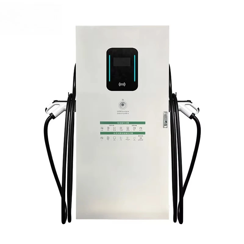 240KW DC Fast Charging Pile New Energy Vehicle Double National/European Standard Customized Commercial/