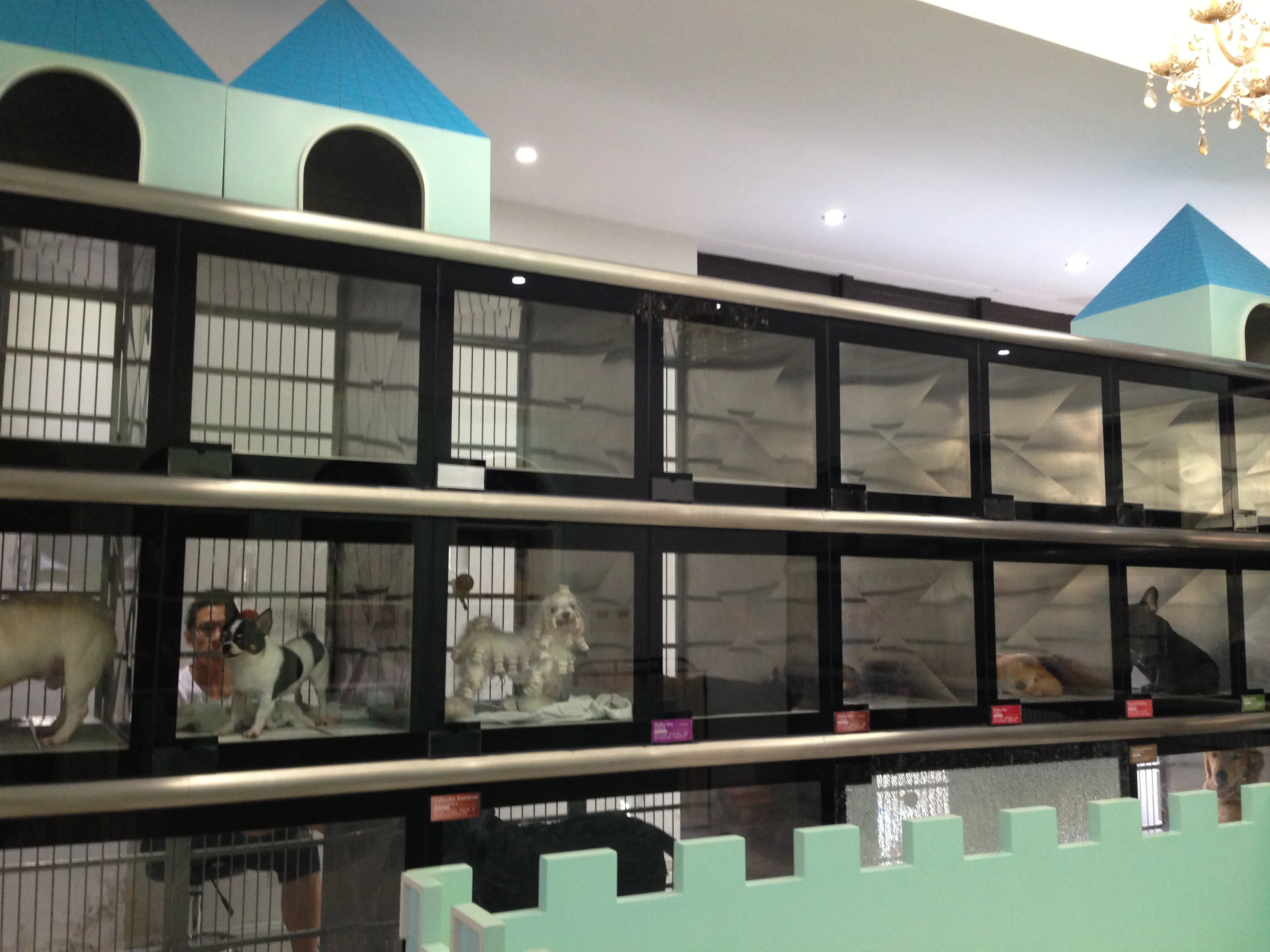 Cage Modular Vet Pe… - image