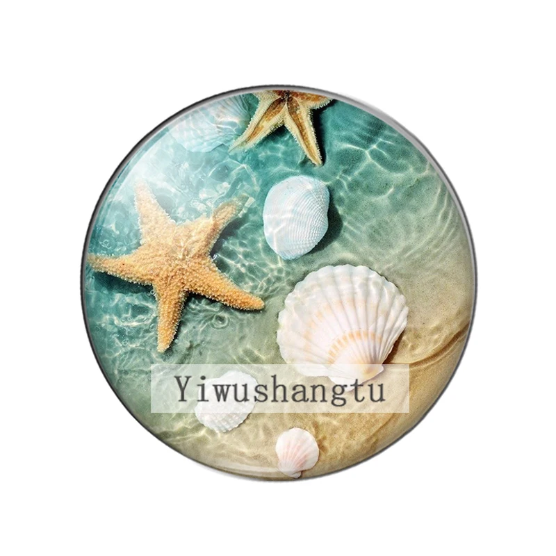 Cute Starfish Shell Art marine animal Paintings 12mm/18mm/20mm/25mm Round photo glass cabochon demo flat back Making findings