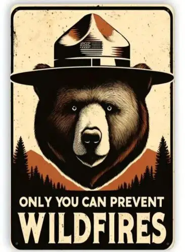 1y,Only You Can Prevent Wildfires Smokey The Bear Novelty Metal Sign -tin sign