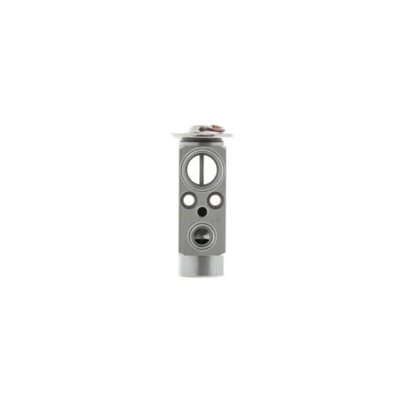 

Air conditioning expansion Fit For Mercedes Actros MP2 / MP3 2546, L, LL 2003 0038307384 003 830 73 84